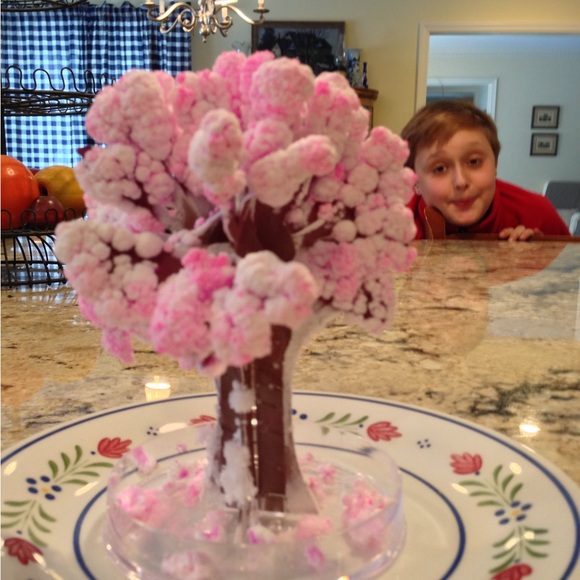 Meet your Posher, Jennifer - Picture 11 of 15